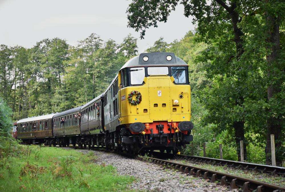 Yellow train traveling through a forested area on a track.