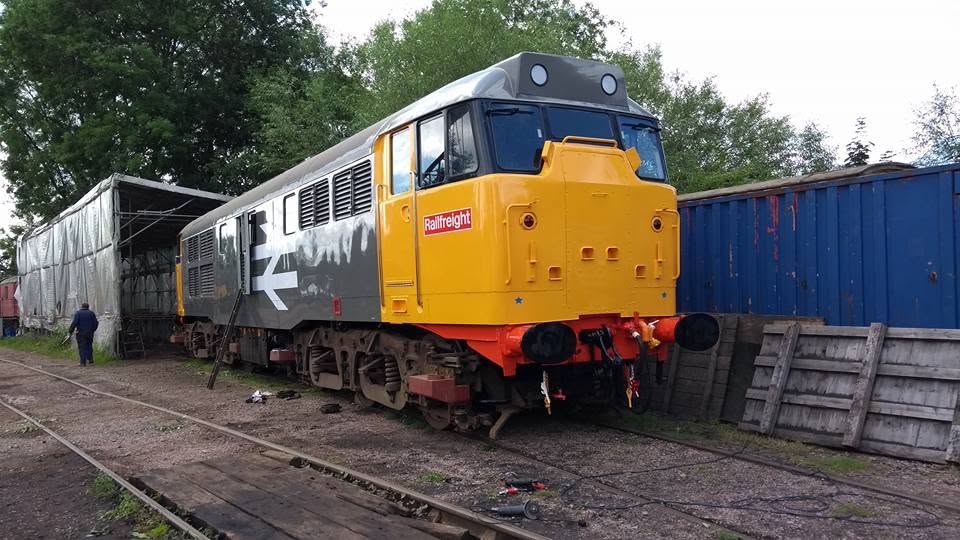 Yellow and gray diesel train parked on tracks near trees and storage area.