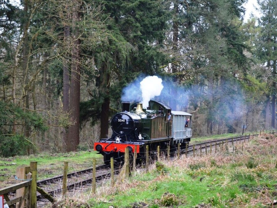a steam engine train traveling down train tracks near a forest