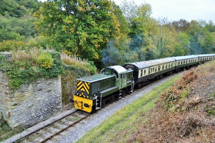 a train traveling down train tracks near a forest