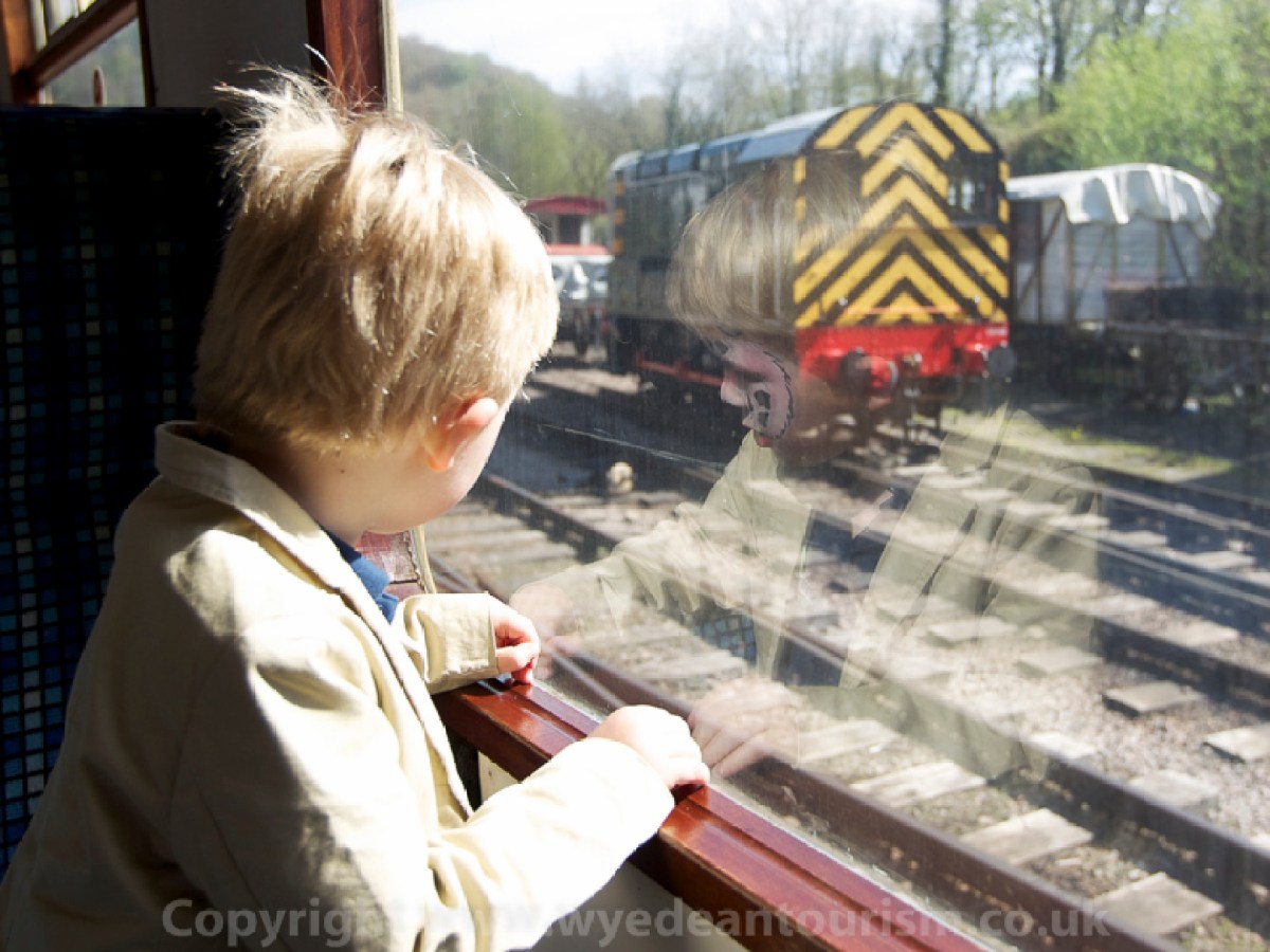 a boy looking at the camera