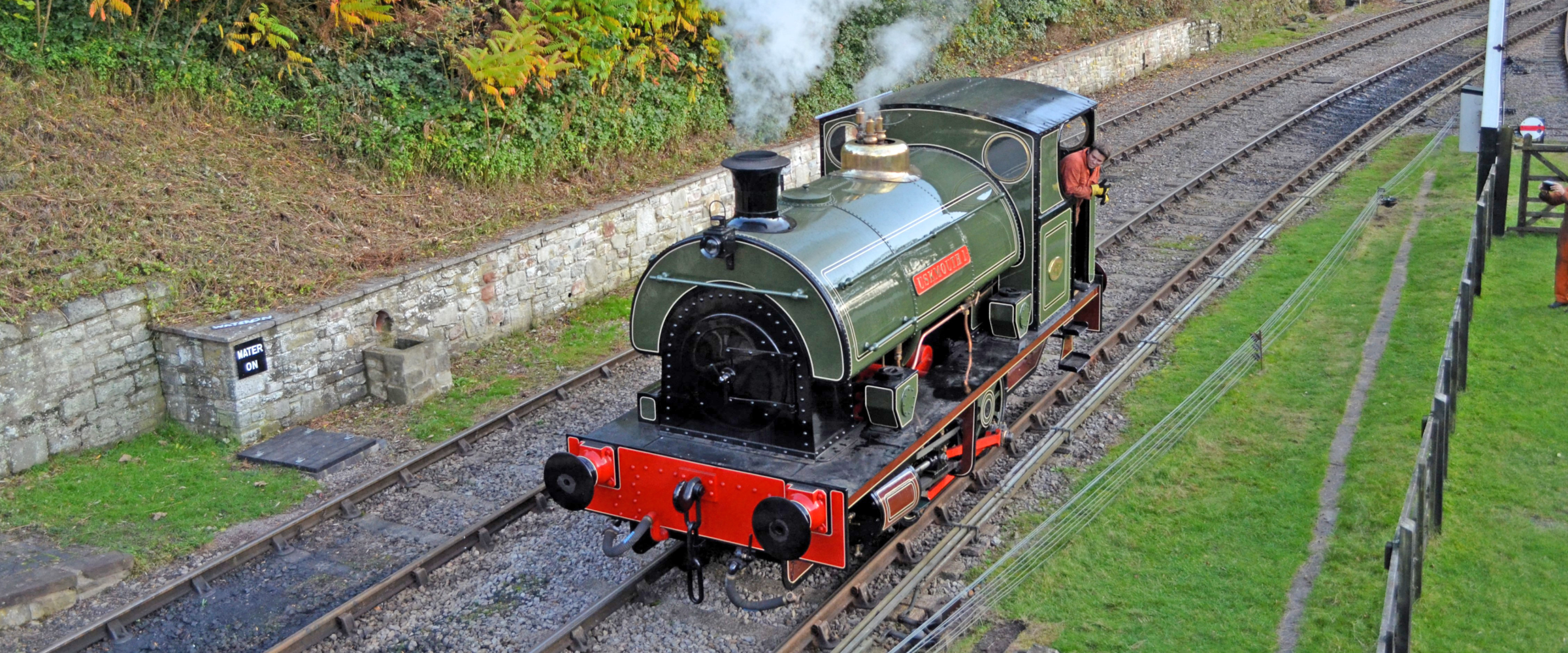Green steam locomotive on railway tracks with steam coming out, surrounded by grass and foliage.
