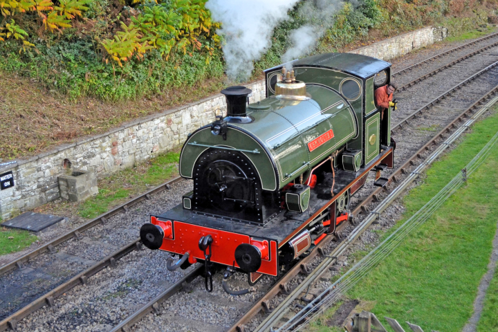Green steam locomotive on railway tracks with steam coming out, surrounded by grass and foliage.