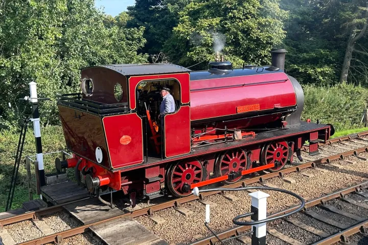 Red steam locomotive on tracks with driver, surrounded by trees and clear sky.