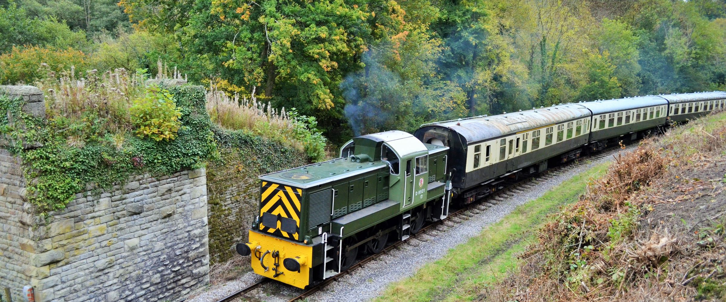 a train traveling down train tracks near a forest