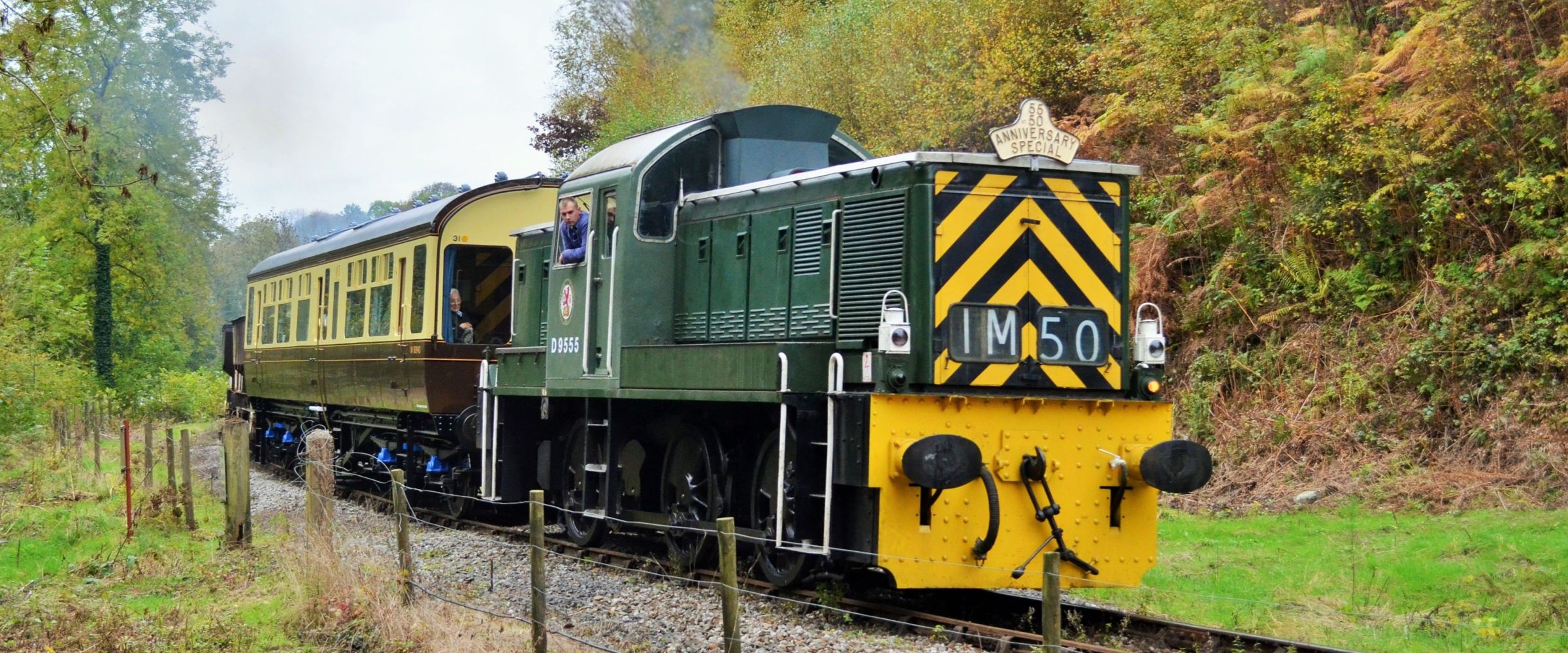 a train traveling down train tracks near a forest